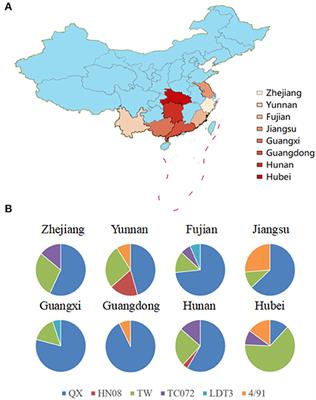 Molecular Characterization Analysis of Prevalent Infectious Bronchitis Virus and <mark class="highlighted">Pathogenicity Assessment</mark> of Recombination Strain in China